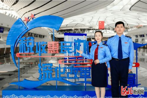 河北省稅務(wù)局實施人才 科技 雙輪驅(qū)動 推進稅收征管改革落地