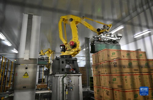 舌尖上 的智能制造 探訪全球首家調(diào)味品 燈塔工廠