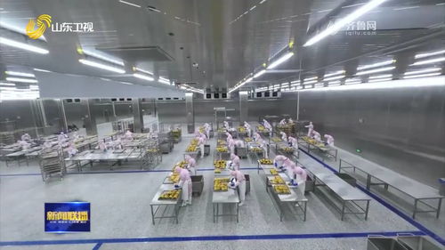 聊城烤鴨 首飛 歐洲 特色農(nóng)產(chǎn)品國際 朋友圈 不斷擴(kuò)大